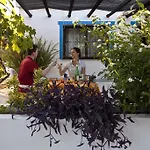 Quinta Figueirinhas & Quintinha Village Apartahotel